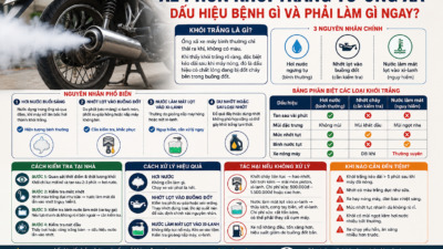 Xe phun khói trắng từ ống xả có nguy hiểm không? Tìm hiểu nguyên nhân, dấu hiệu nhận biết và cách xử lý để tránh hỏng động cơ tốn kém.
